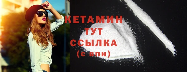 гидра Вязьма