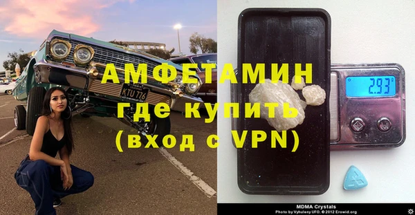 гидра Вязьма