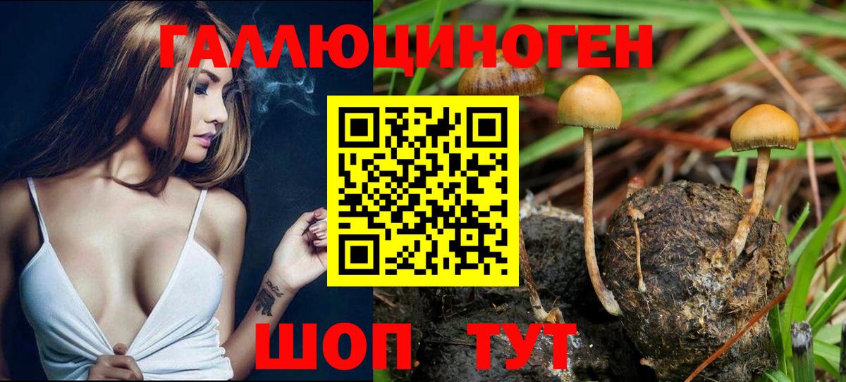 Псилоцибиновые грибы мухоморы Назарово
