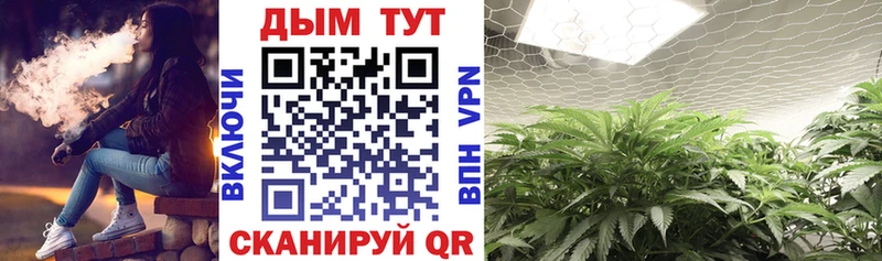 Конопля SATIVA & INDICA  Назарово 